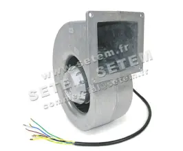 0004101972-VENTILATEUR EBMPAPST G2D160.AF02.01