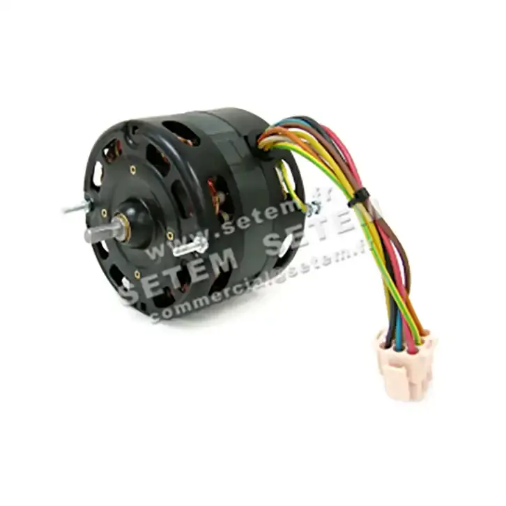 0087001031-MOTEUR AOSMITH CE2E6694K "130.020.306"