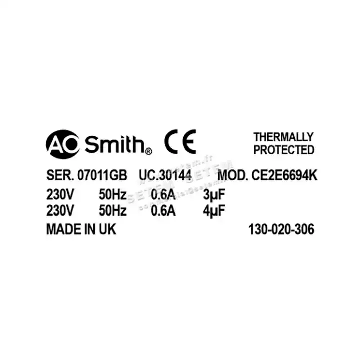 0087001031-MOTEUR AOSMITH CE2E6694K "130.020.306" 3