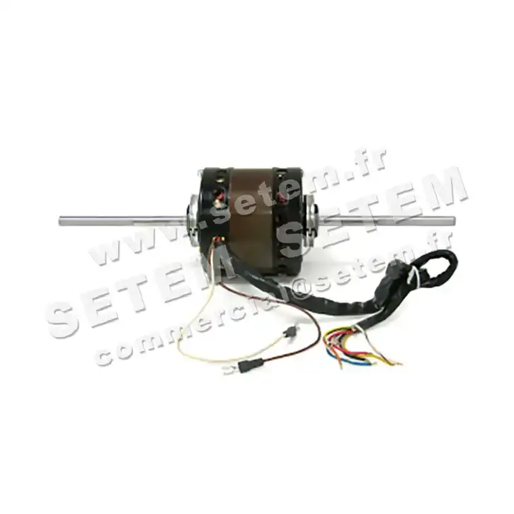 0087006228-MOTEUR AOSMITH DE2J6228K