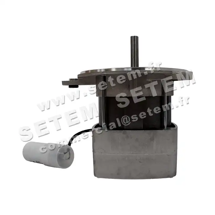 0115002545-MOTEUR AACO 110M *8750004* 6