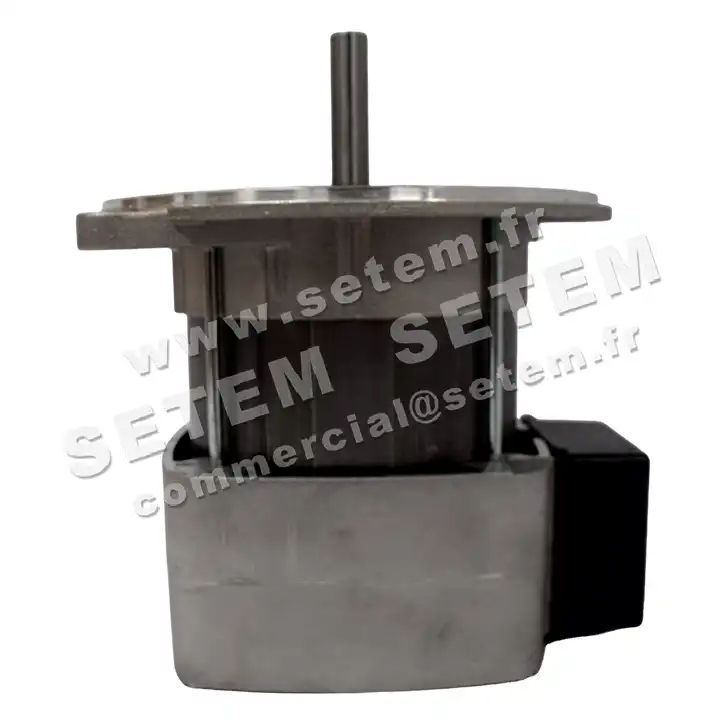 0115002545-MOTEUR AACO 110M *8750004* 2