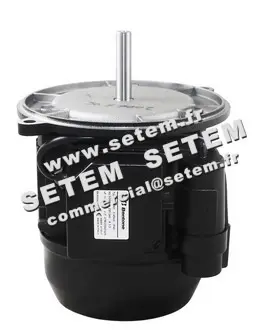 0302501500-MOTEUR BENTONE XD3001