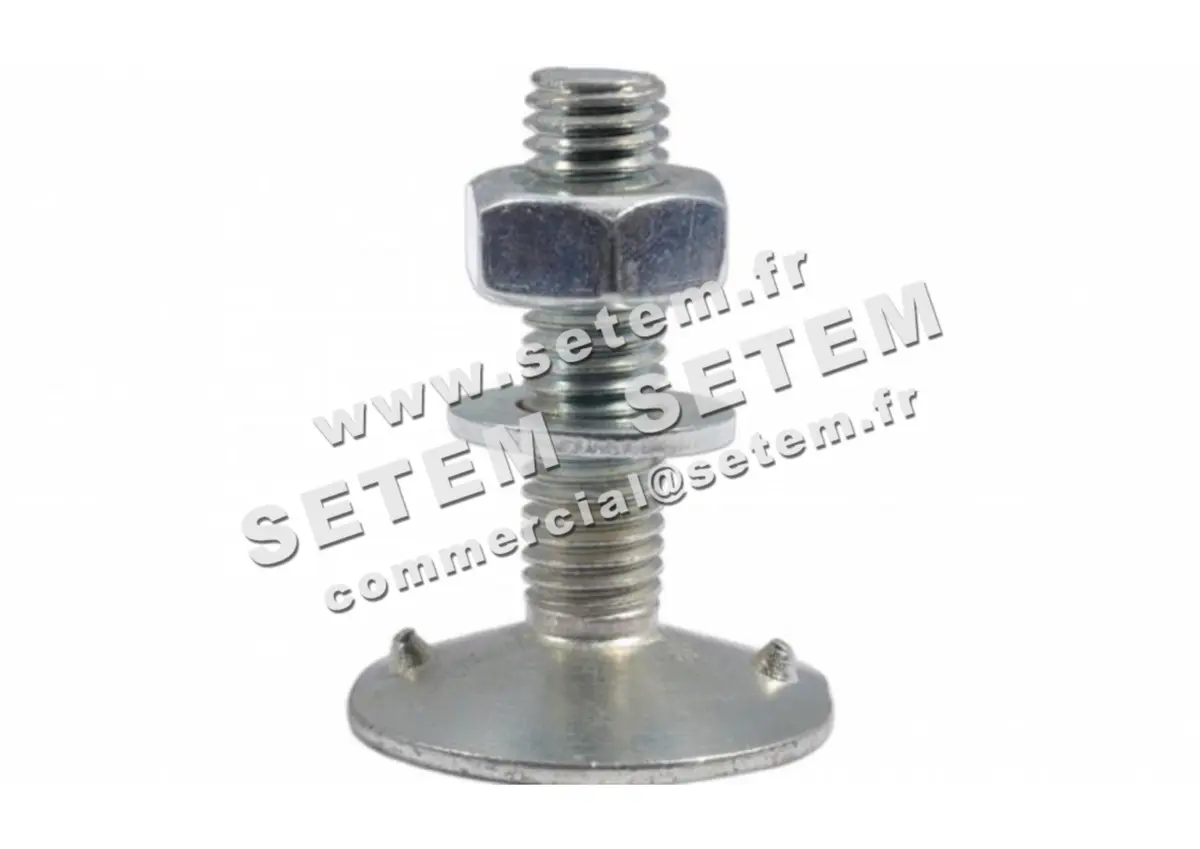 0369001012-LOT DE 100 BOULONS 8X30ZN 4B