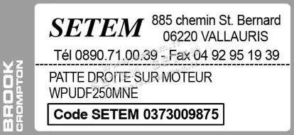 0373009875-PATTE DROITE SUR MOTEUR BROOK WPUDF250MNE 3