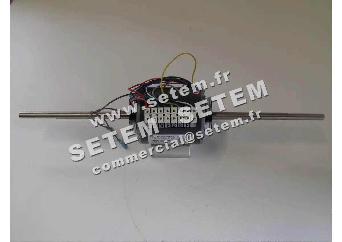 0738501101-MOTEUR CHANGZHOU YE030001 "70670289.001"