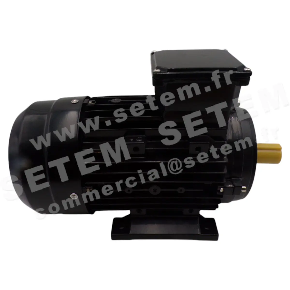0795000080-MOTEUR CEMER 2.20KW 2P T230/400V HA90 B3 IE3-MSE90L1-2 3