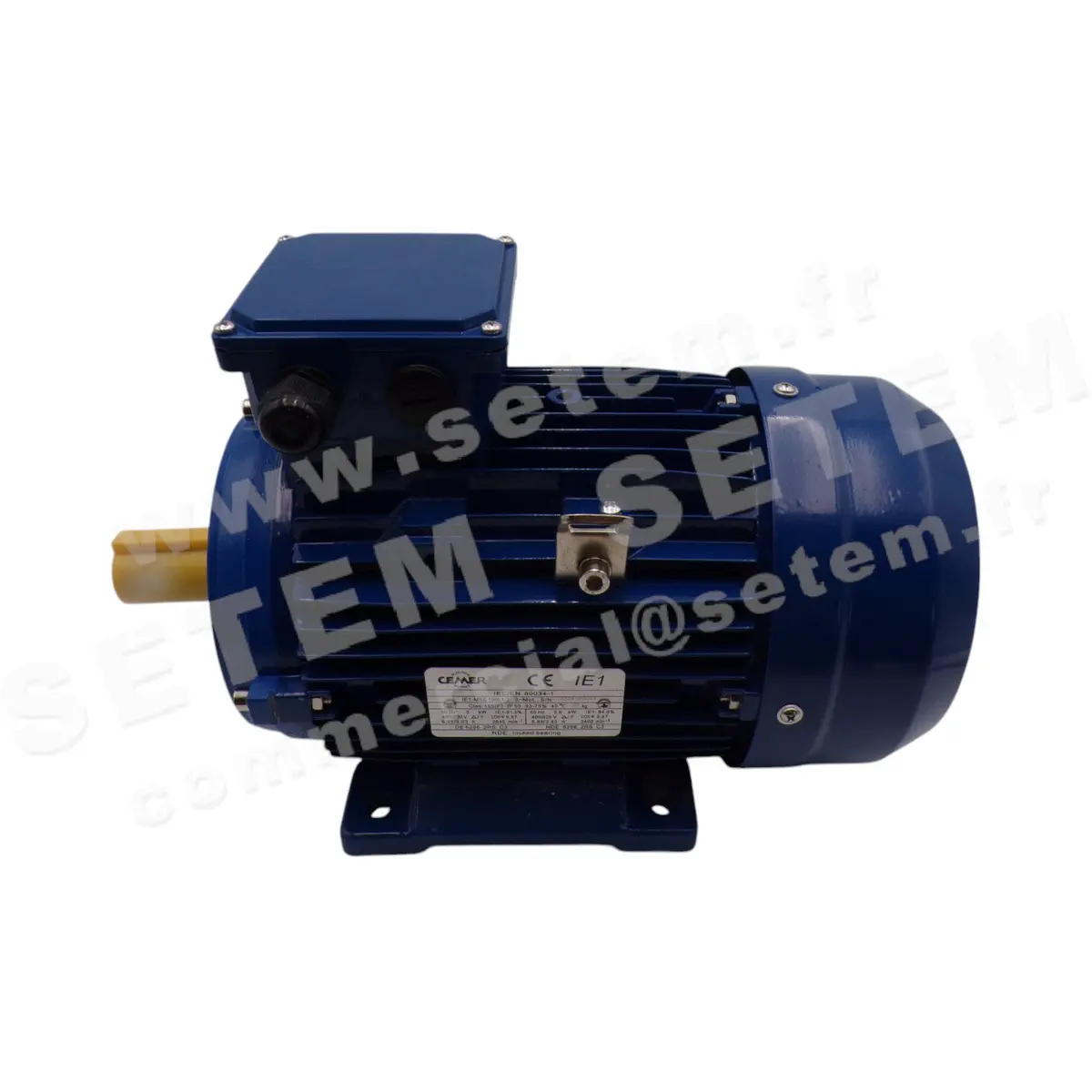 0795000110-MOTEUR CEMER IEC/EN 60034-1 IE1