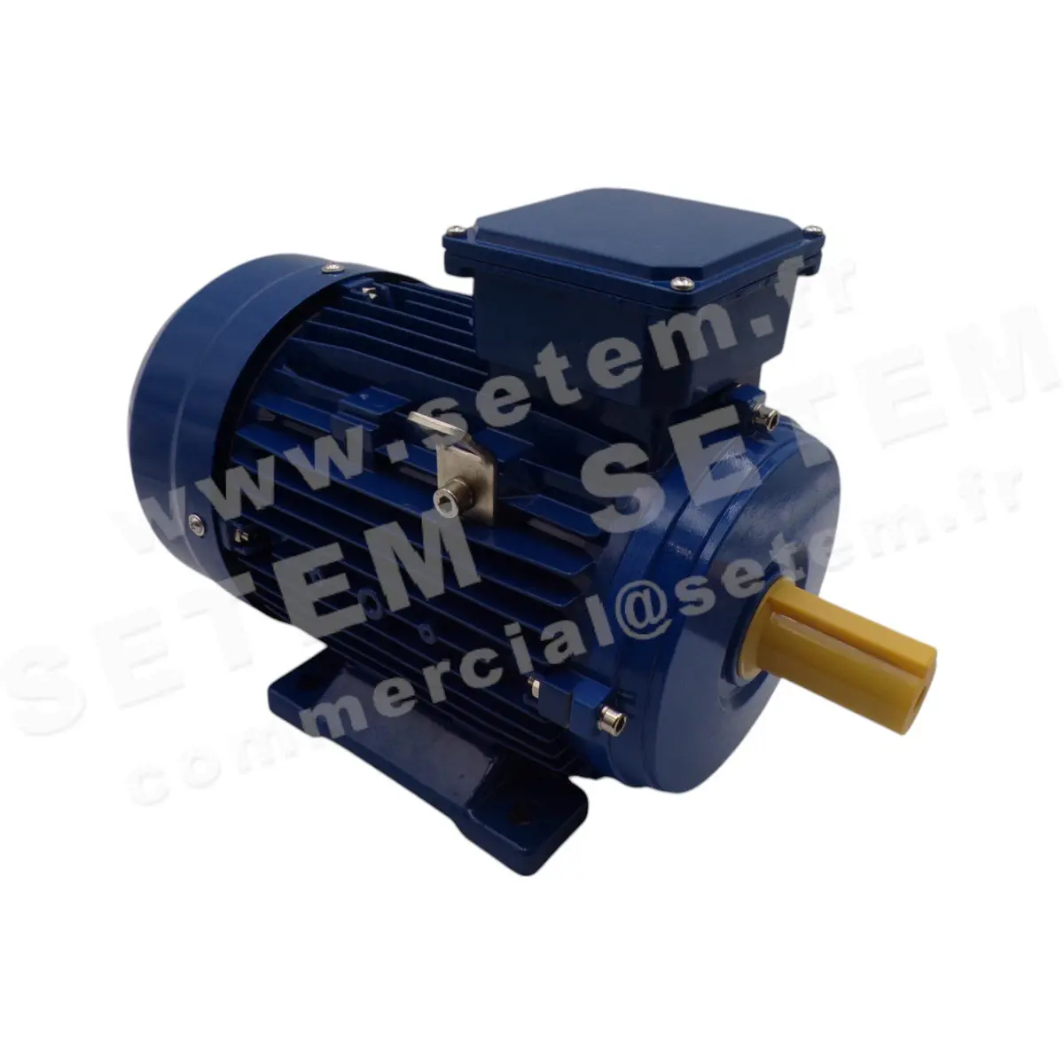 0795000110-MOTEUR CEMER IEC/EN 60034-1 IE1 2