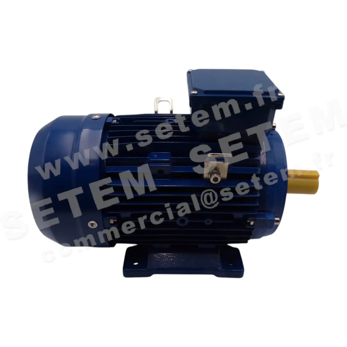 0795000110-MOTEUR CEMER IEC/EN 60034-1 IE1 3