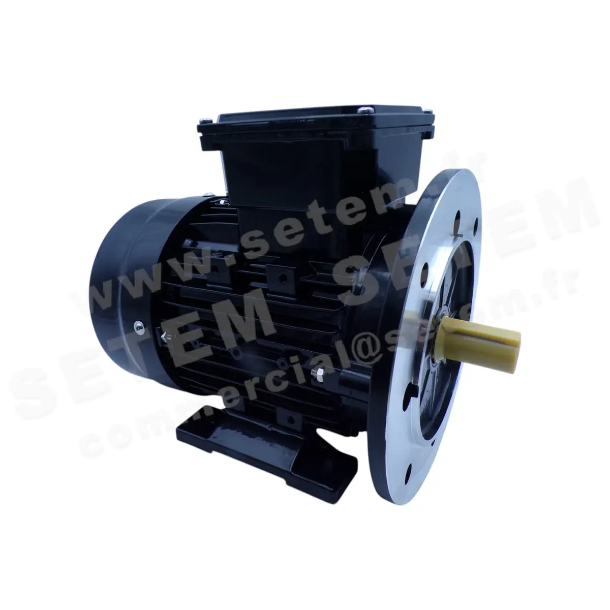 0795001053-MOTEUR CEMER 0.55KW 4P T230/400V HA80 B35 IE2-MSE801-4 3