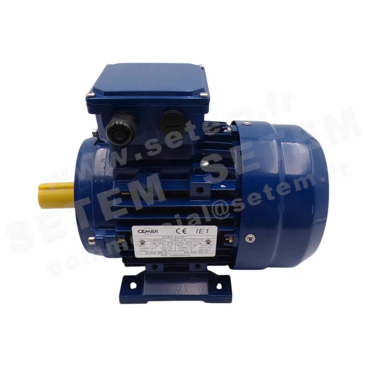 0795001060-MOTEUR CEMER IEC/EN 60034-1