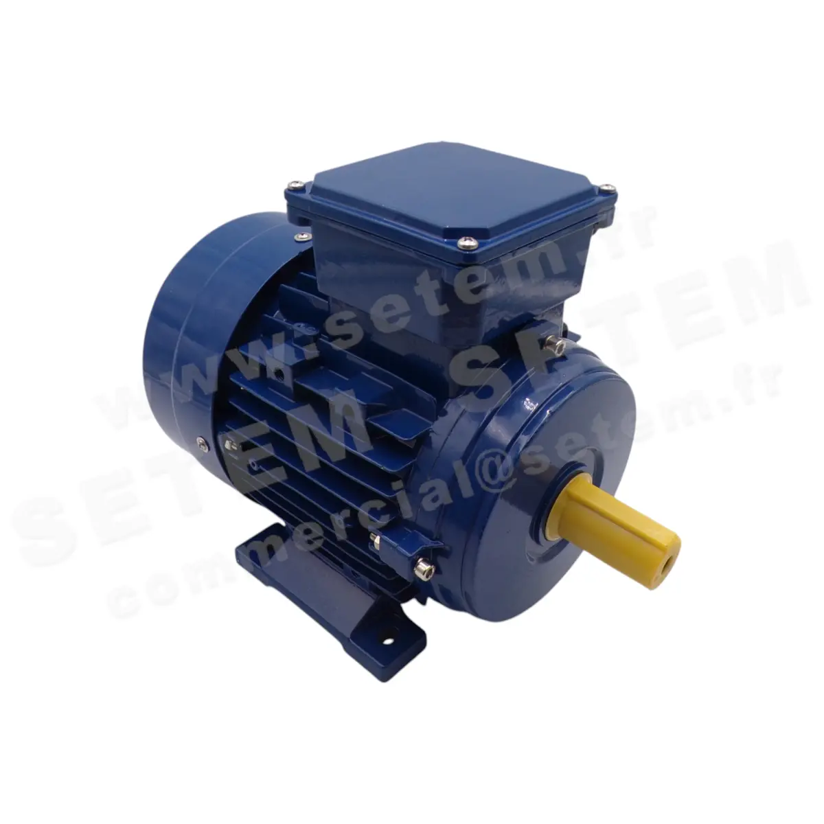 0795001060-MOTEUR CEMER IEC/EN 60034-1 2