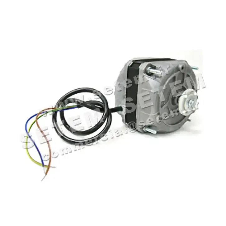 1539000004-MOTEUR EUROMOTORS 82-2010/183 *4110.4061*