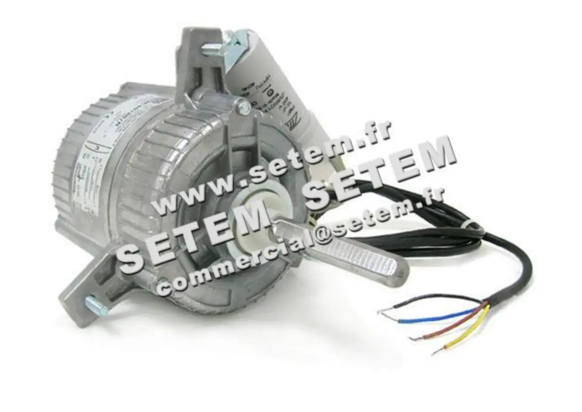 1539000120-MOTEUR EUROMOTORS 101M-40120/R *4131.0211*