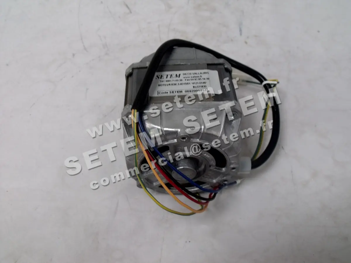 1539000146-MOTEUR EUROMOTORS 83M-3-4015/O1 4