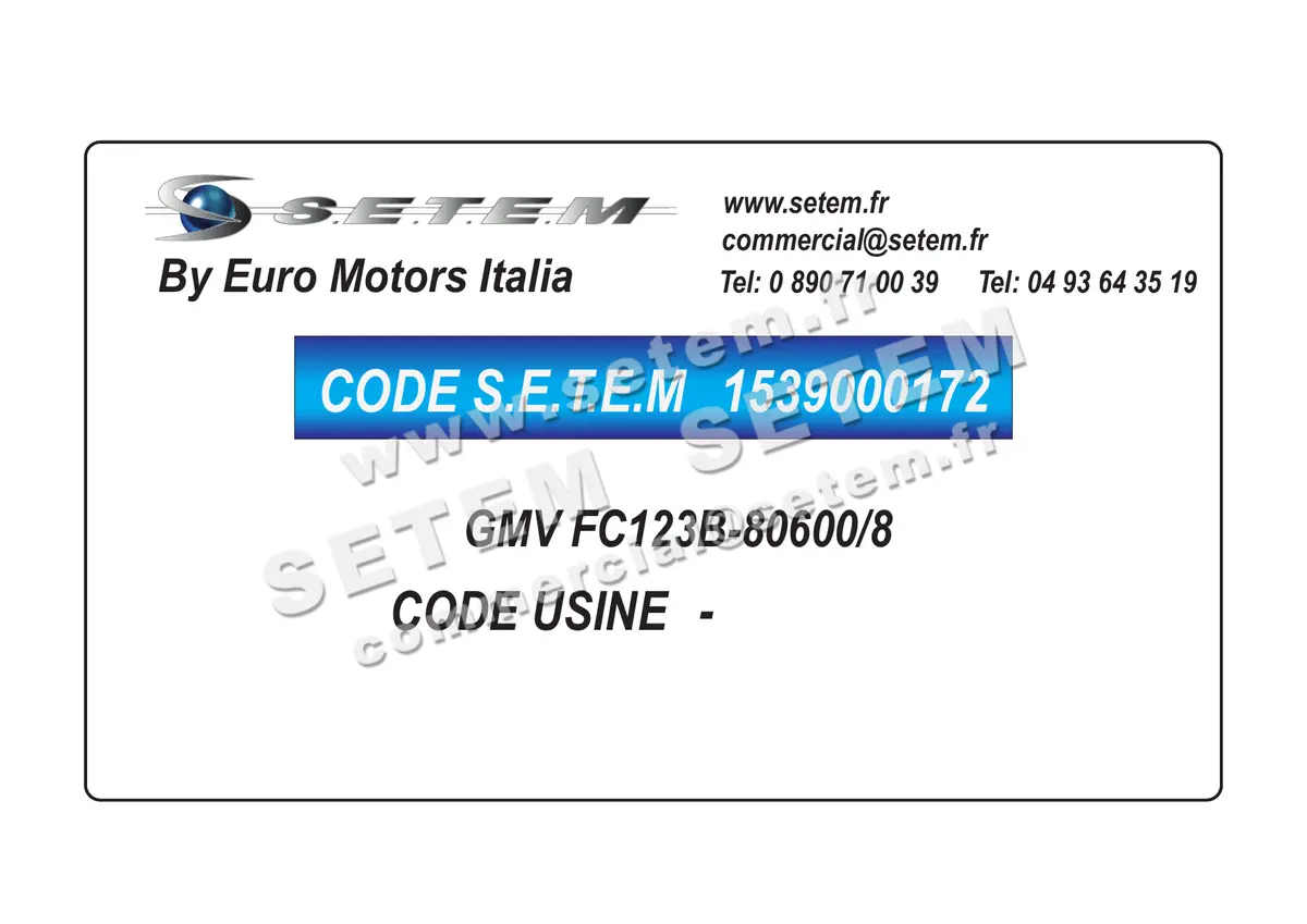 1539000172-GMV EURO MOTORS ITALIA FC123B-80600/8 *4141.2675*