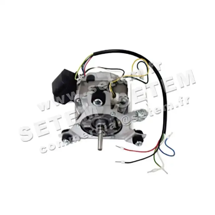 1539001245-MOTEUR EUROMOTORS 83-3016/O1 *4121.0250*