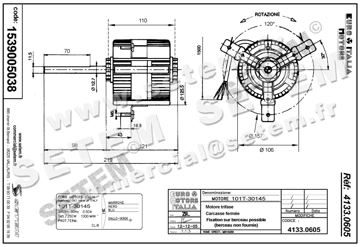 1539005038-MOTEUR EUROMOTORS 101T.30145 *4133.0605* 2