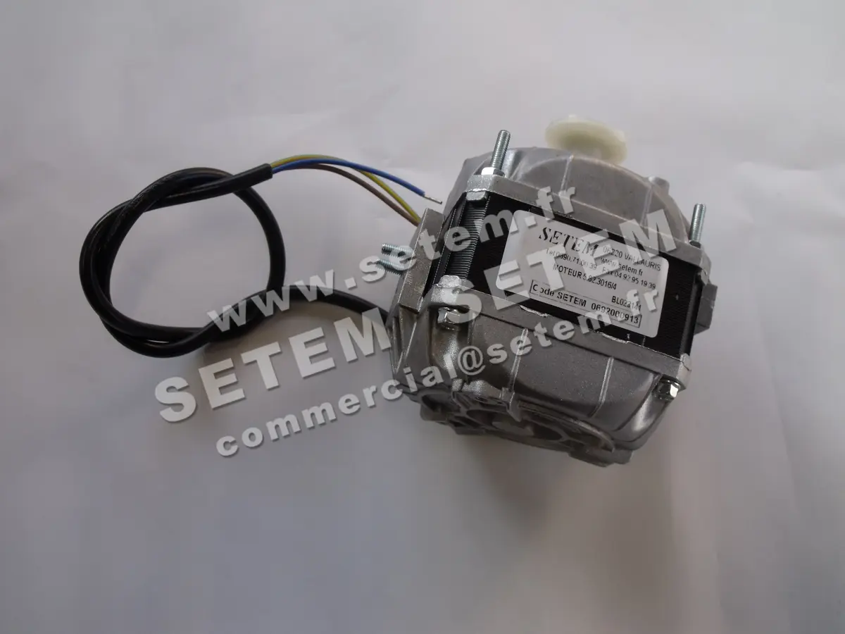 1539005203-MOTEUR EUROMOTORS 5.82.3016 *4125.0201* 2