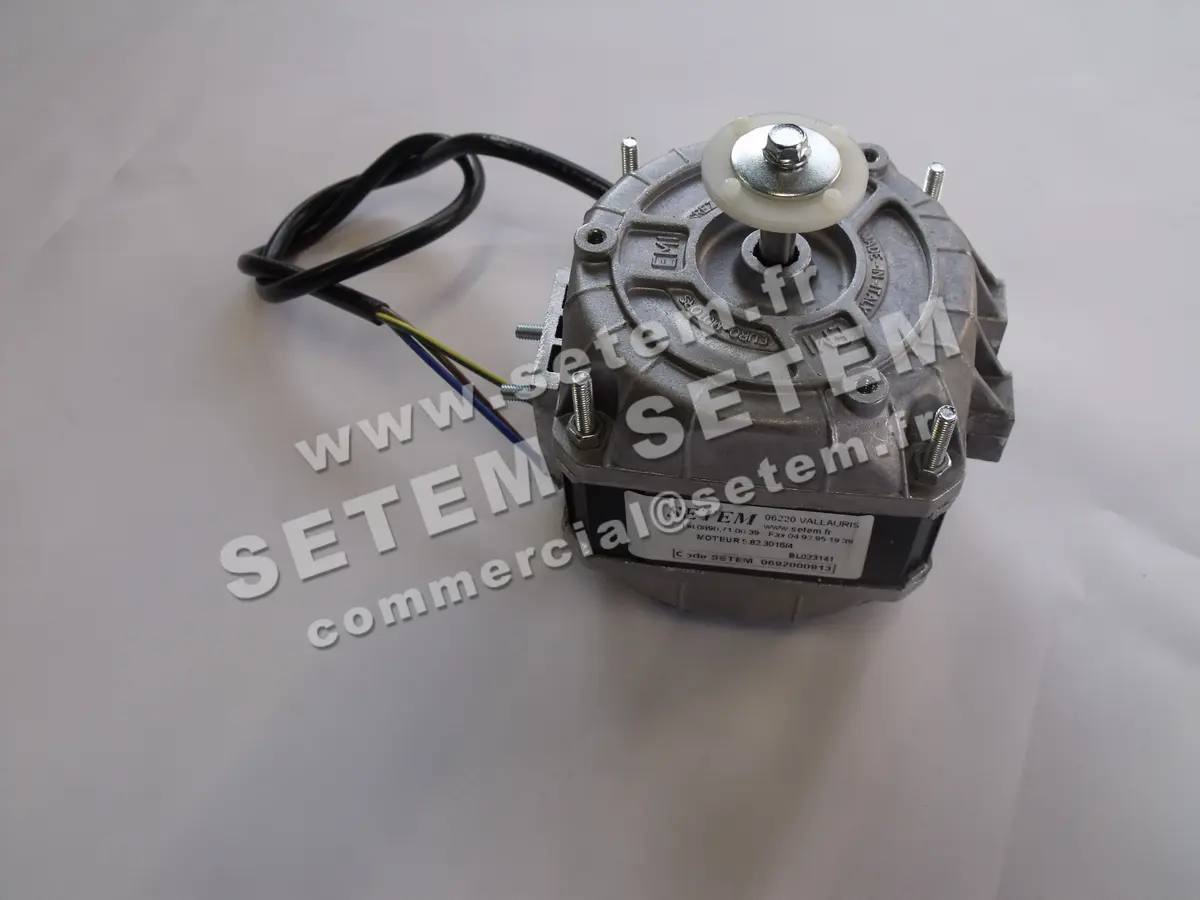 1539005203-MOTEUR EUROMOTORS 5.82.3016 *4125.0201* 5