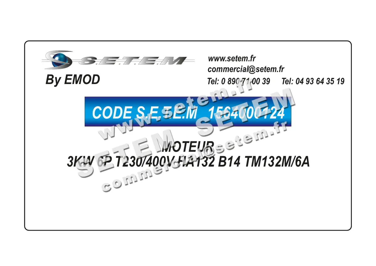 1564000124-MOTEUR EMOD 3KW 6P T230/400V HA132 B14 TM132M/6A
