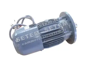 1564002847-MOTEUR EMOD FREIN 0.55KW 4P T230/400V HA80 B5 B80S/4K8