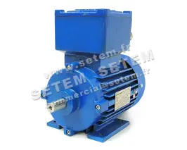 1572001050-MOTEUR EUROMOTORI 0.55KW 4P T230/400V HA80 B3 EXDIIBT4II2GD MAK80A4