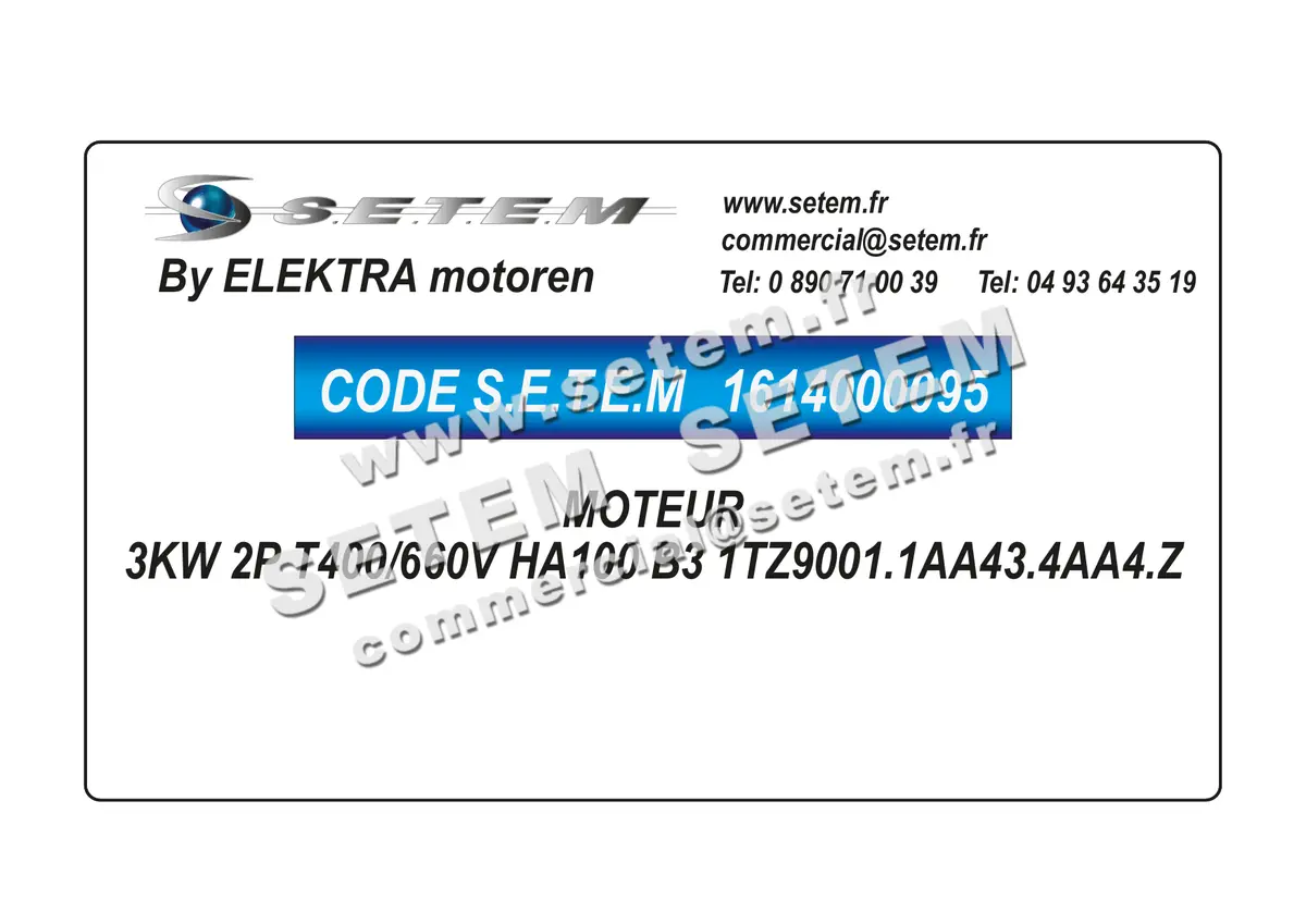 1614000095-MOTEUR ELEKTRAMOT 3KW 2P T400/660V HA100 B3 1TZ9001.1AA43.4AA4.Z