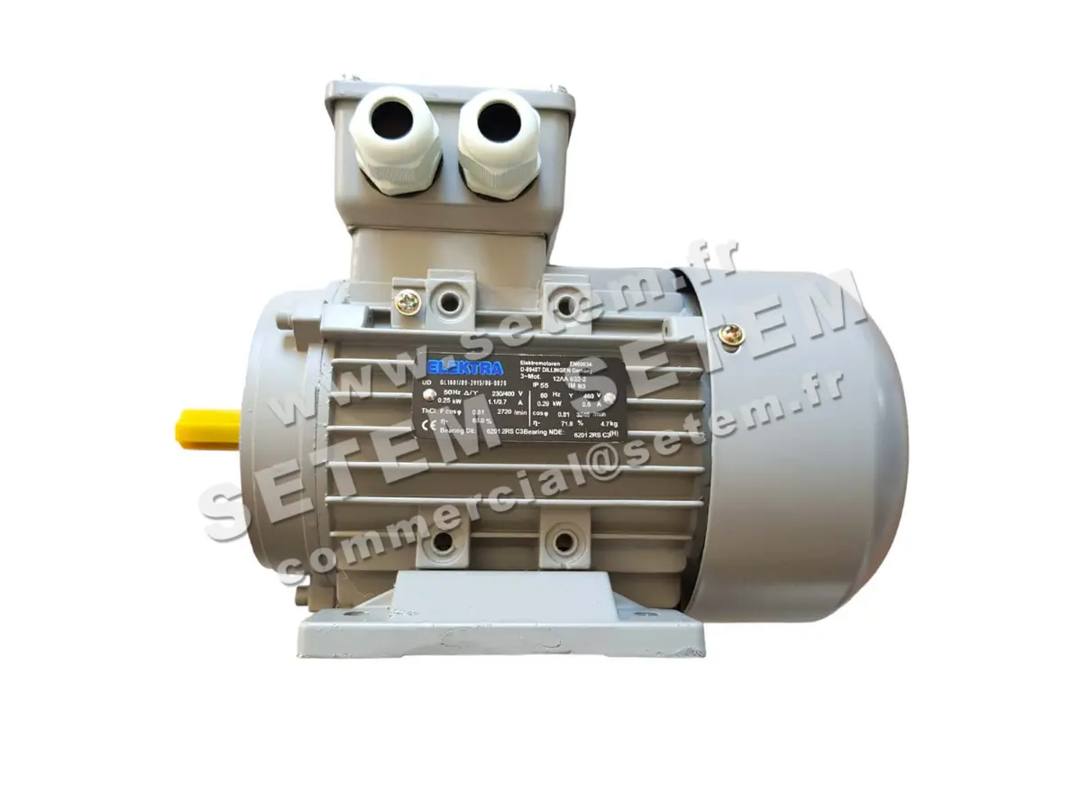 1614005630-MOTEUR ELEKTRAMOT 0.25KW 2P T230/400V HA63 B3 12AA632.2