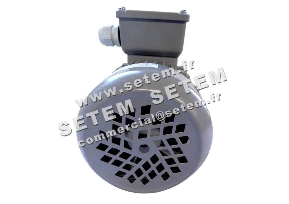 1614005630-MOTEUR ELEKTRAMOT 0.25KW 2P T230/400V HA63 B3 12AA632.2 5