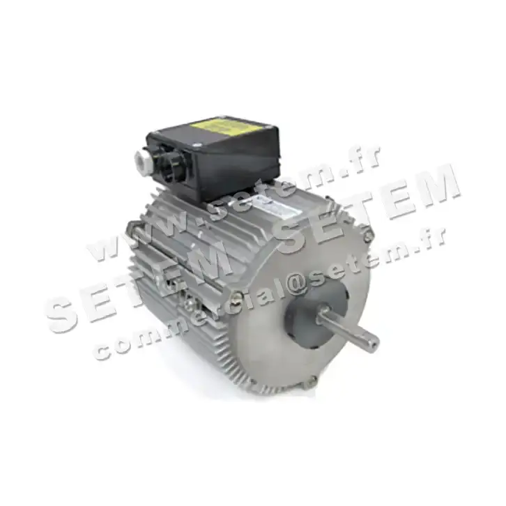 1809000003-MOTEUR FMV TX070P04 600/900W 4P T230/400V *18831*