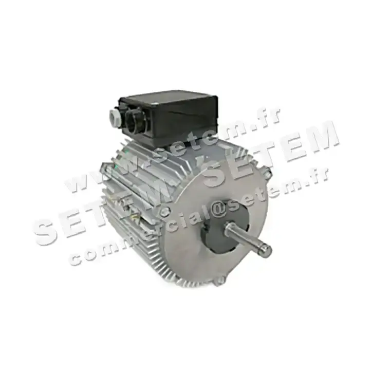 1809000008-MOTEUR FMV TX050P06 165/350W 6P T230/400V *18836*