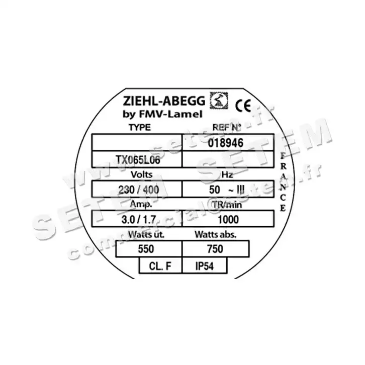 1809000025-MOTEUR FMV TX065L06 550/750W 6P T230/400V *18946* 3