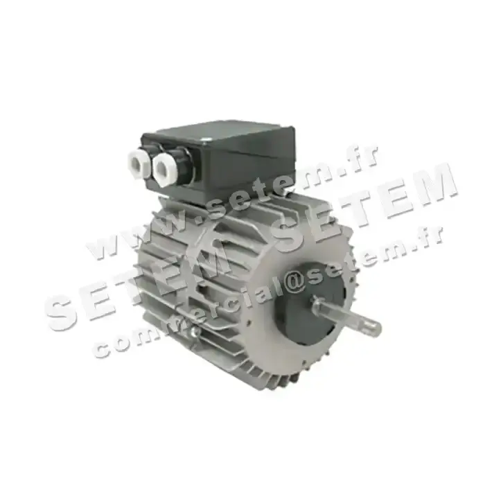 1809000092-MOTEUR FMV TF040W04 170/315W 4P T230/400V *18760*
