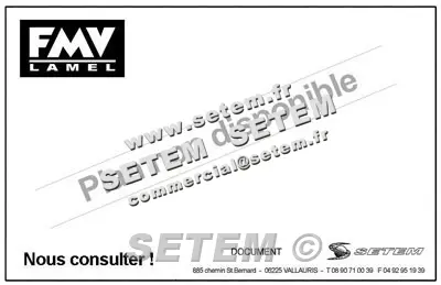 1809000169-VENTILATEUR FMV IA300.5P28.MK34 *28859* 2