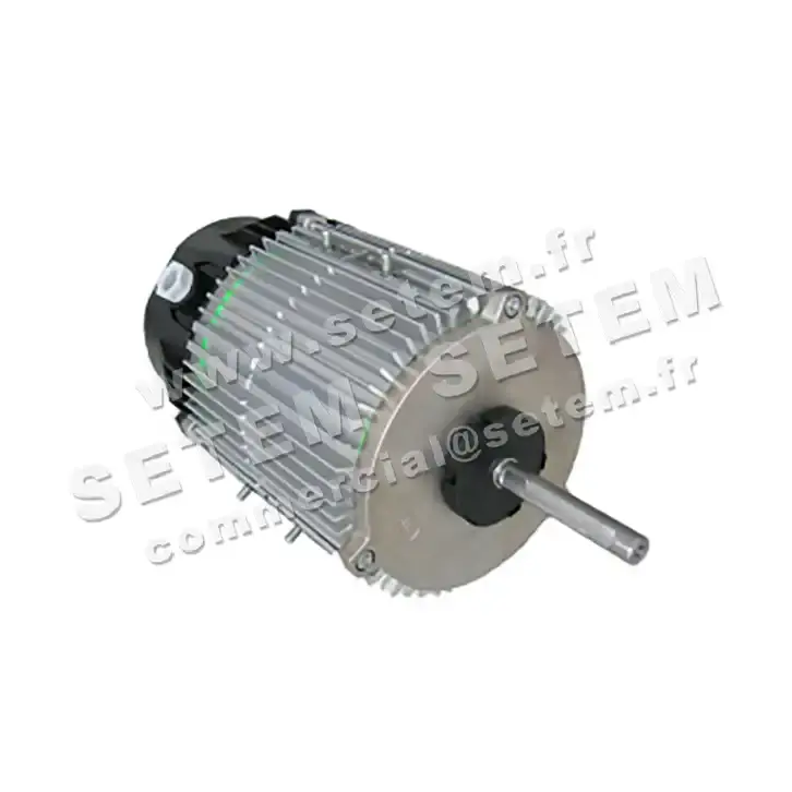 1809000246-MOTEUR FMV MX070P04 *20374*