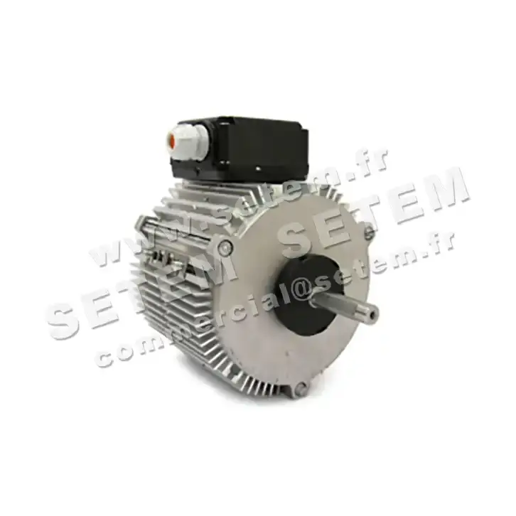 1809000278-MOTEUR FMV TX040P04 315/500W 4P T230/400V *5001018902*