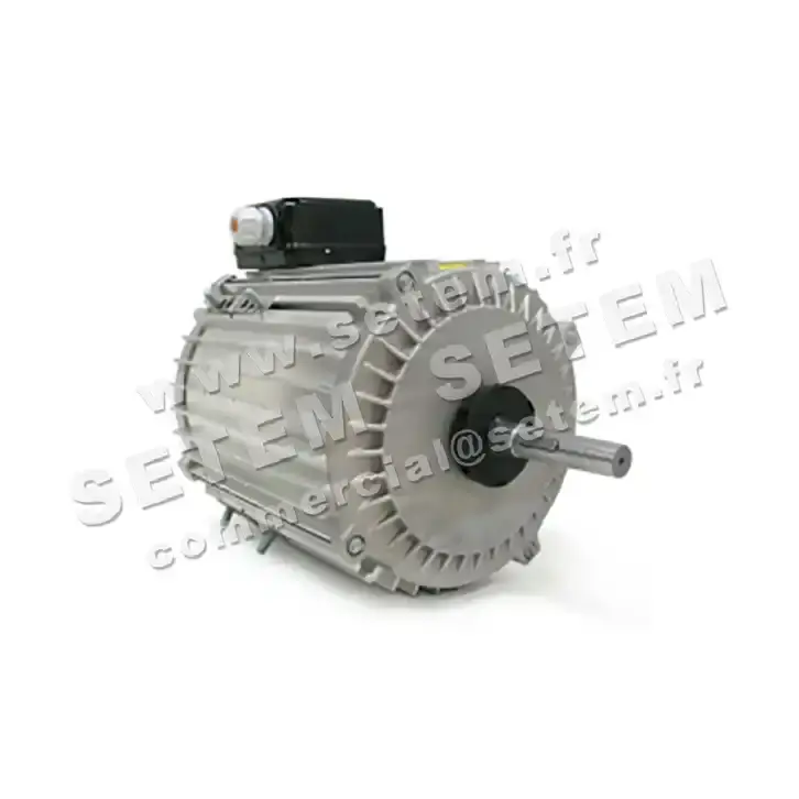 1809000315-MOTEUR FMV TX120L12 *19022*