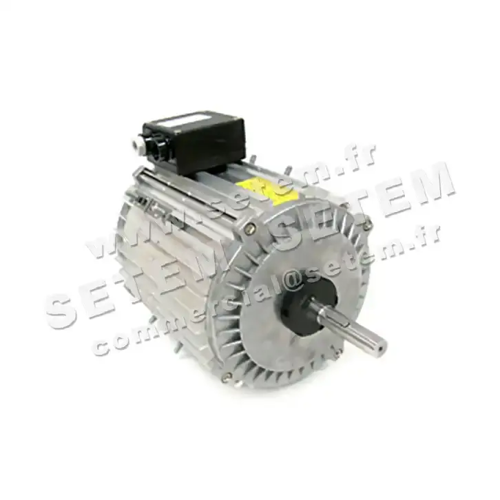 1809000316-MOTEUR FMV TX120L12 *19021*