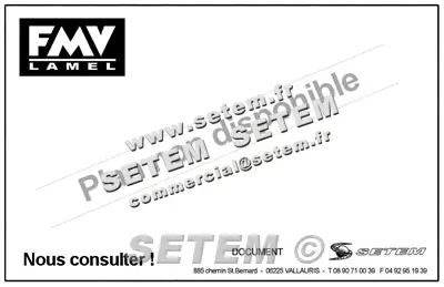 1809001377-MOTEUR FMV MK10 FM.45209A *5001031377* 3