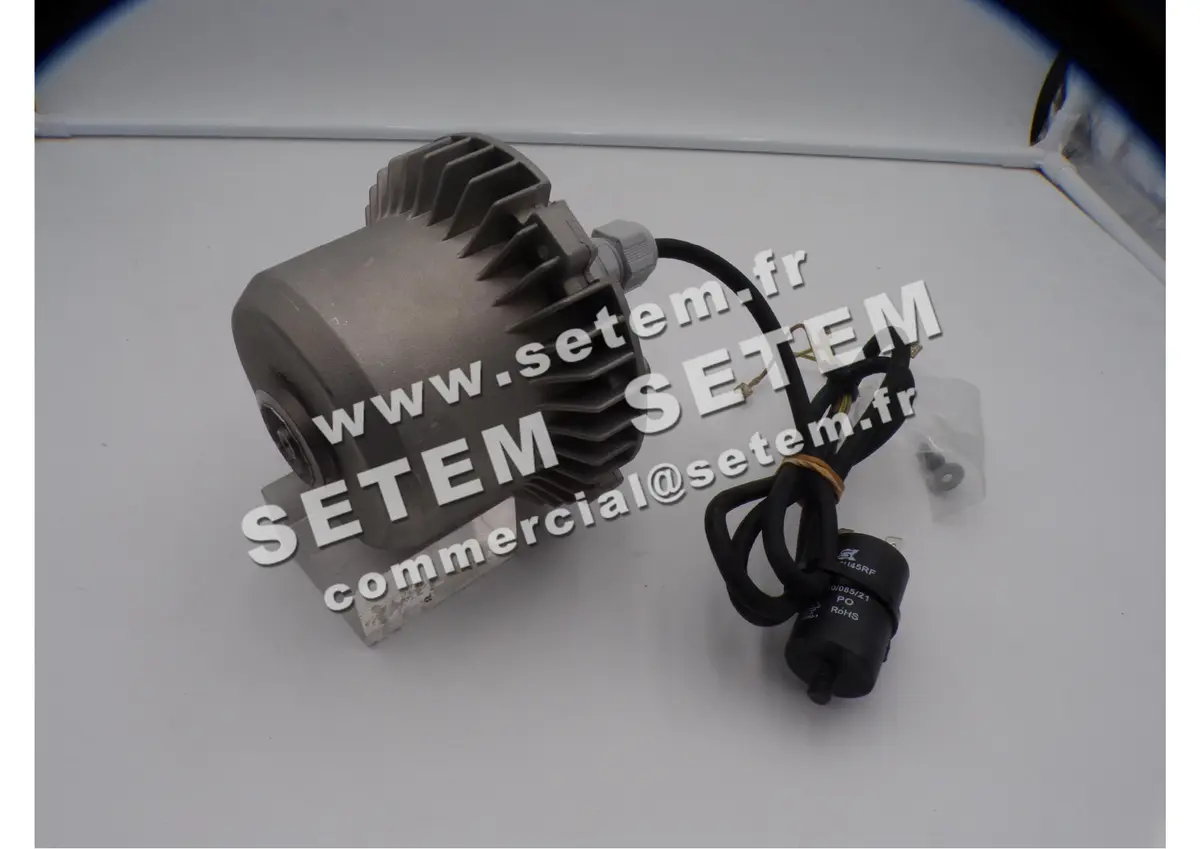 1809001703-MOTEUR FMV MG030W08 *5001033011*