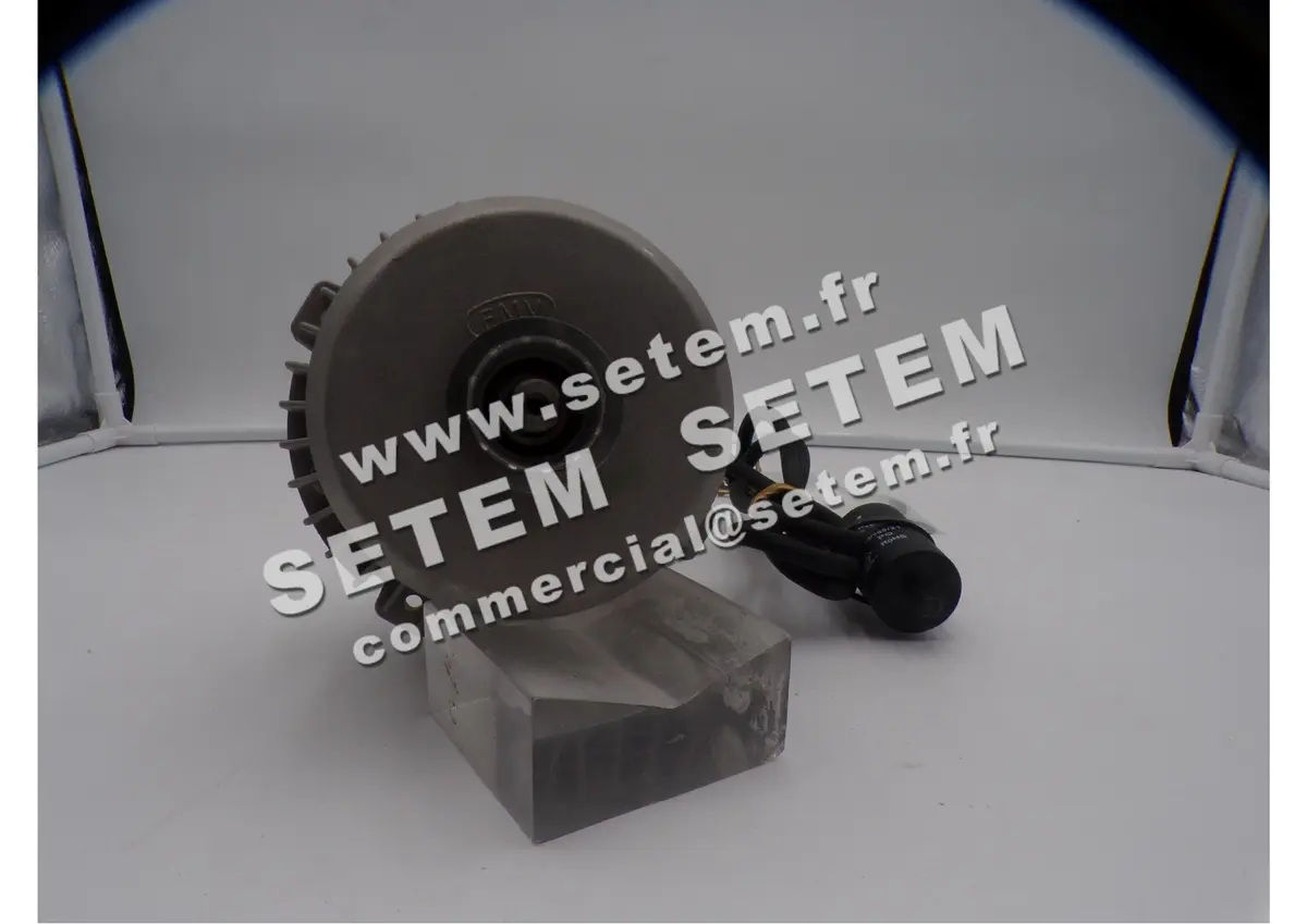 1809001703-MOTEUR FMV MG030W08 *5001033011* 2