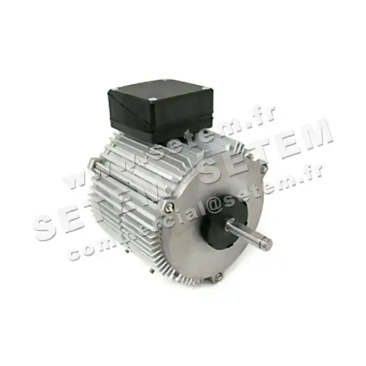 1809002730-MOTEUR FMV TX050P06 *5001022730*