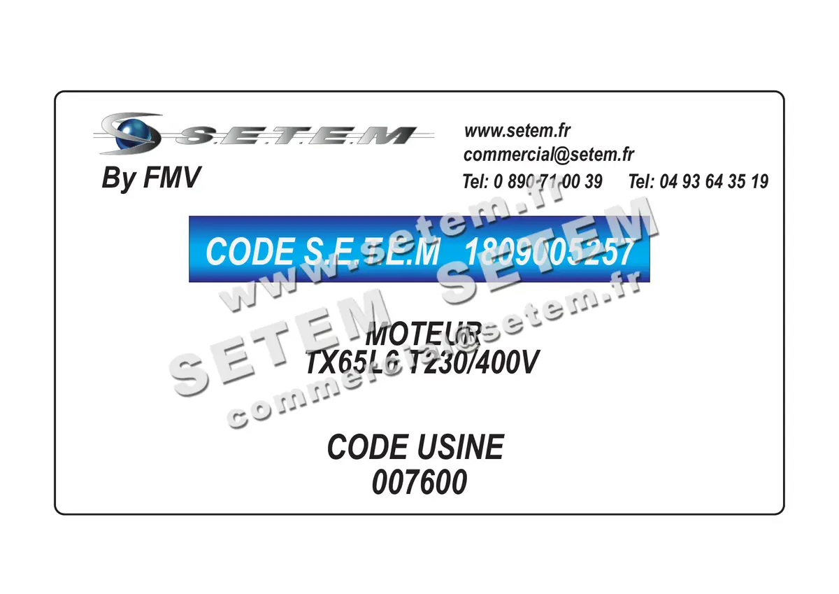 1809005257-MOTEUR FMV TX65L6 T230/400V *7600*