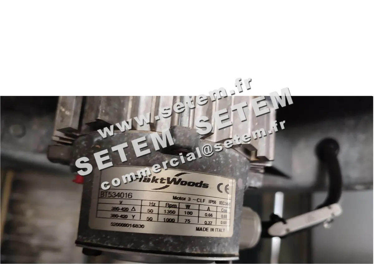 1810001000-MOTEUR WOODS BT534016