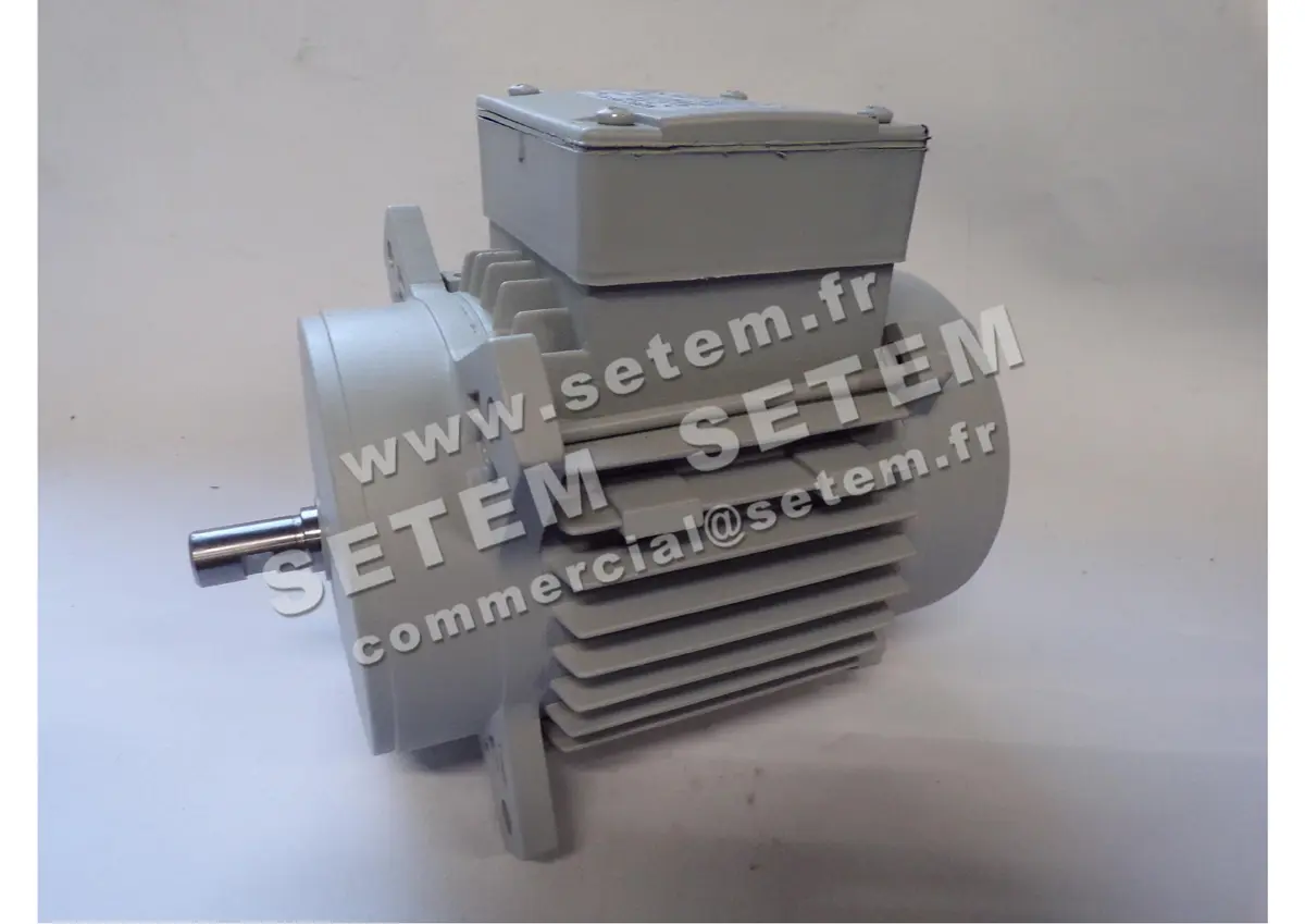 1828002144-MOTEUR FIR 46SKAH5 "3055034"