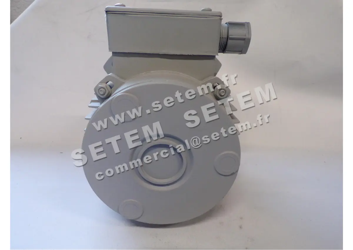 1828002144-MOTEUR FIR 46SKAH5 "3055034" 2