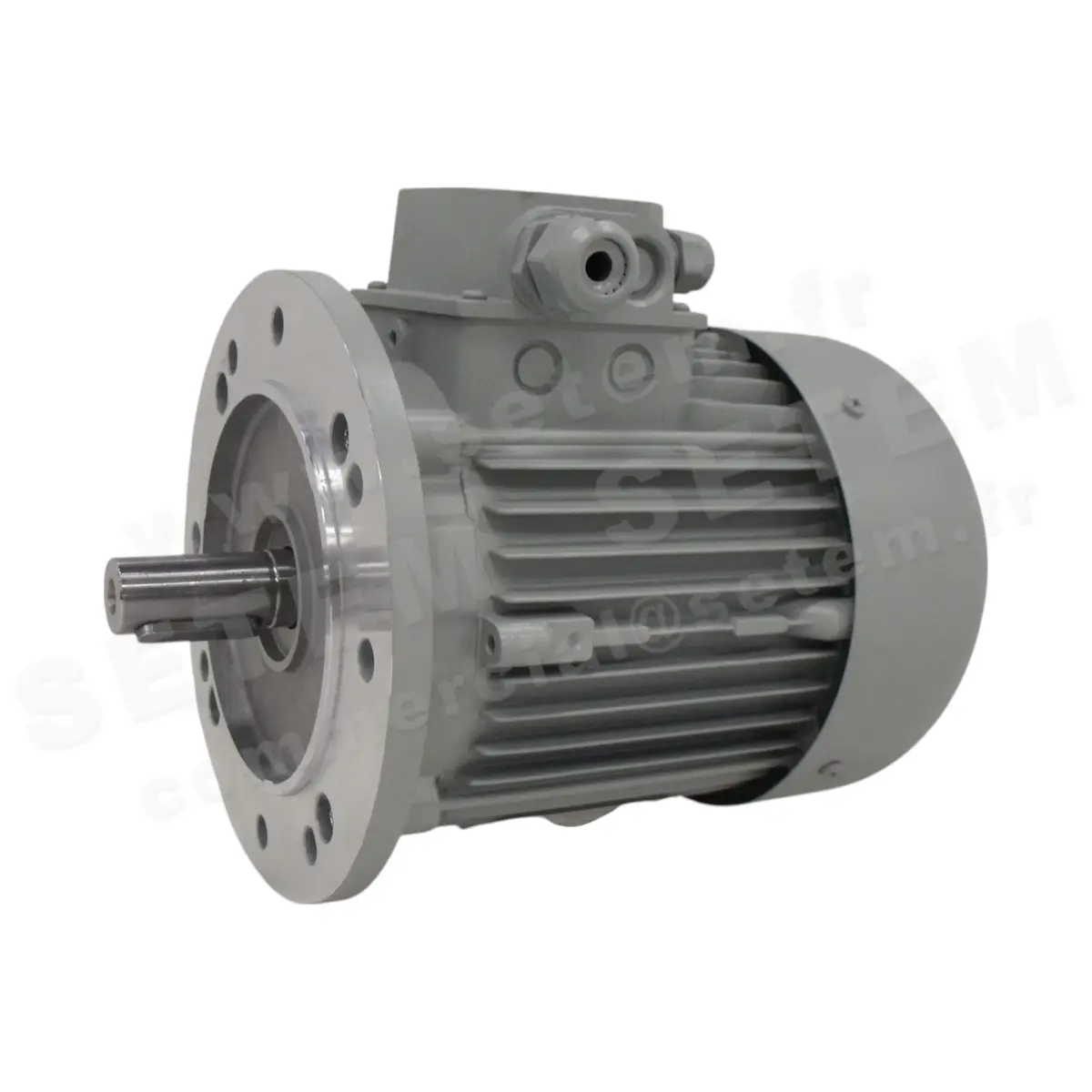 1828005411-MOTEUR FIR FCV90/68SK "3054005" *SKS90.610*