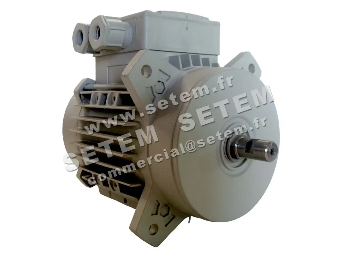 1828005441-MOTEUR FIR 46SKAH4 "3055033"